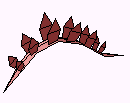 ΂