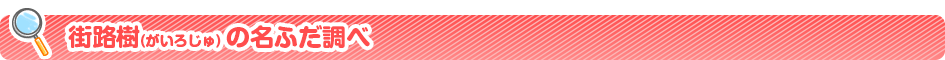 XH̖ӂ
