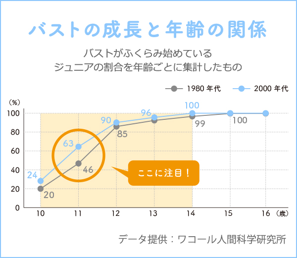 バストの成長と年齢の関係