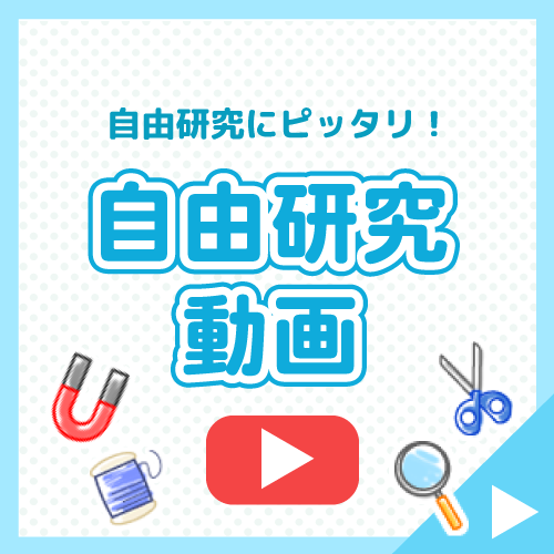 自由研究動画
