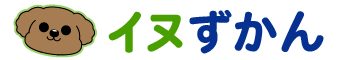 イヌじまん