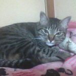 ミックスのももで～す！