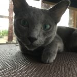 愛しのまるちゃん