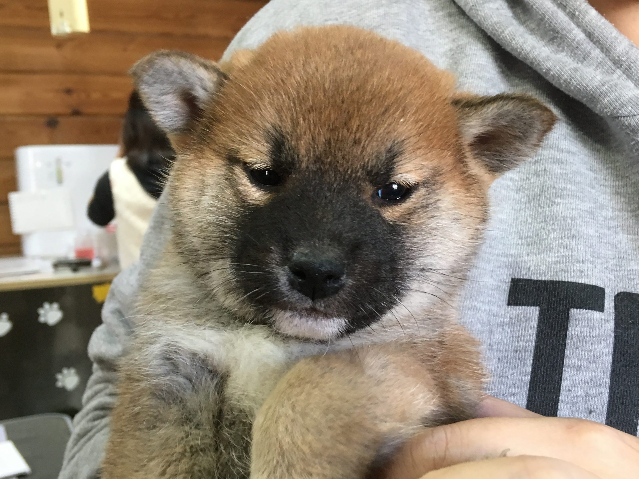 まりちゃん