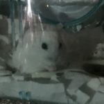 私の大好きなムーちゃんでーす！