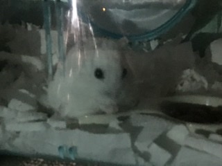 私の大好きなムーちゃんでーす!