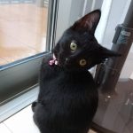 水雲くん！