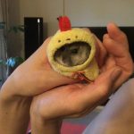 ハム介（ハムスター）