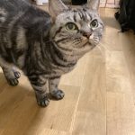 なな、かわいい！！