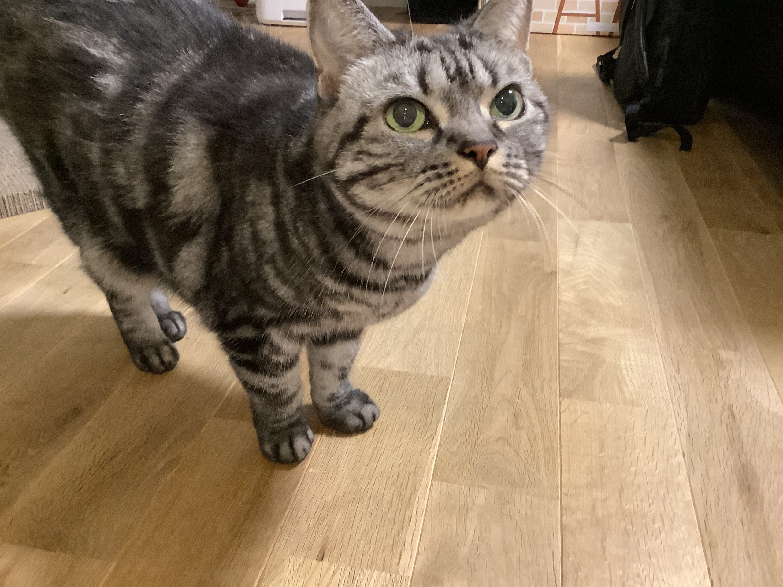 なな、かわいい！！