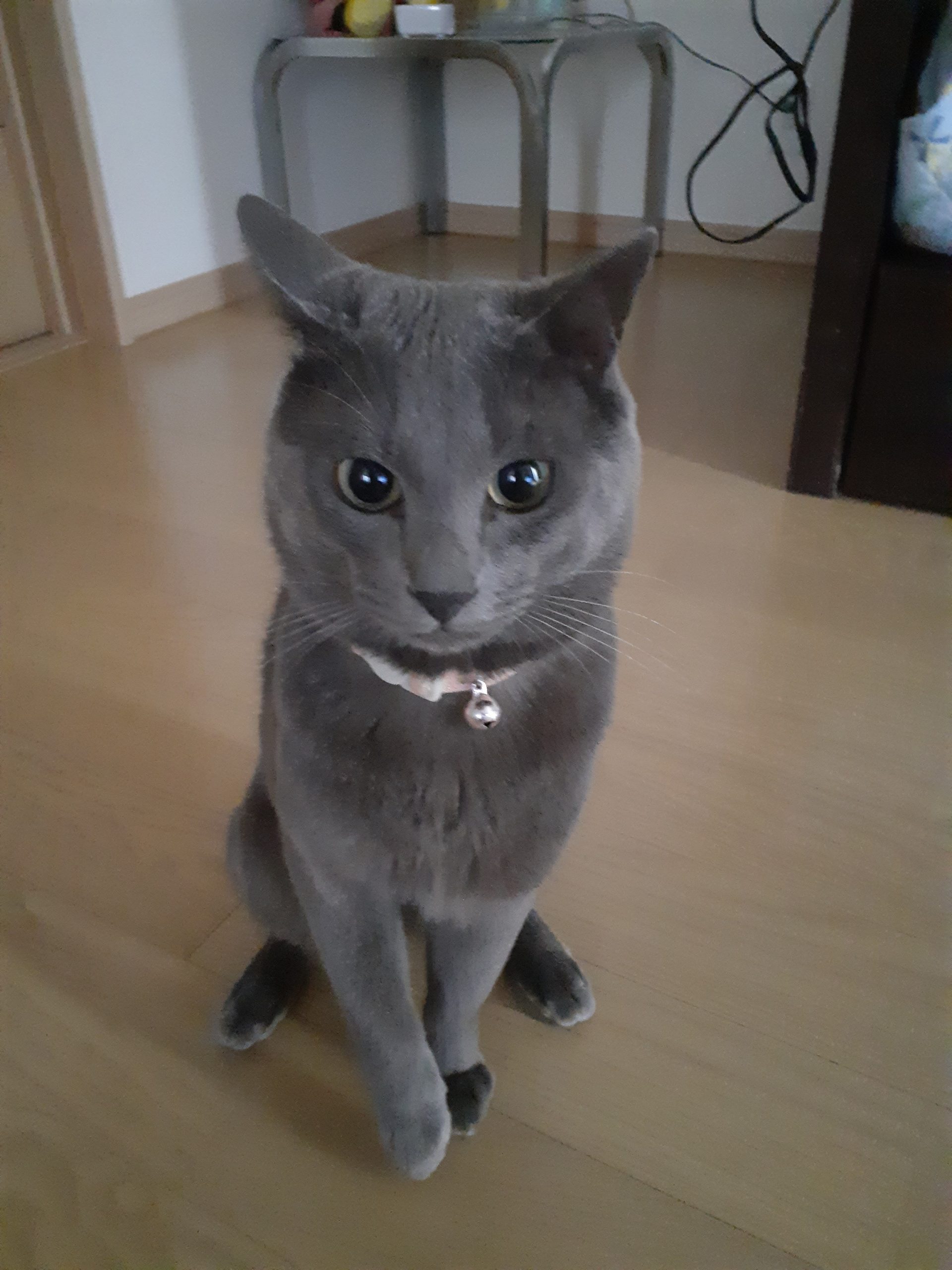 ラムネくん