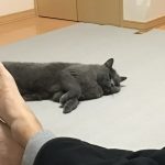 スライム状態