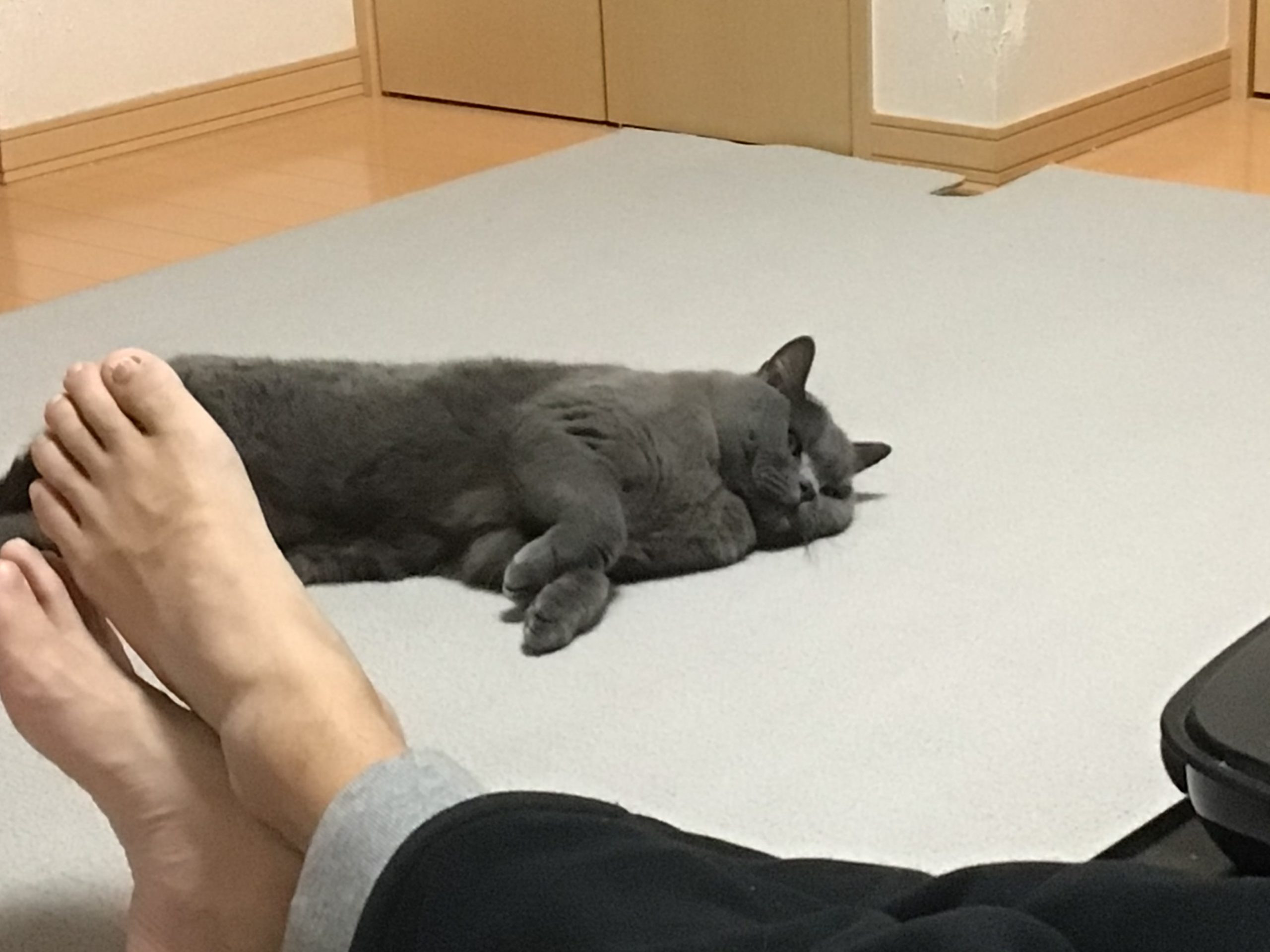 スライム状態