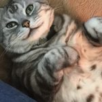 お化けだじょ～