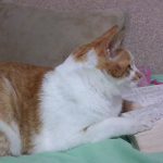 勉強ちゅーは静かに！