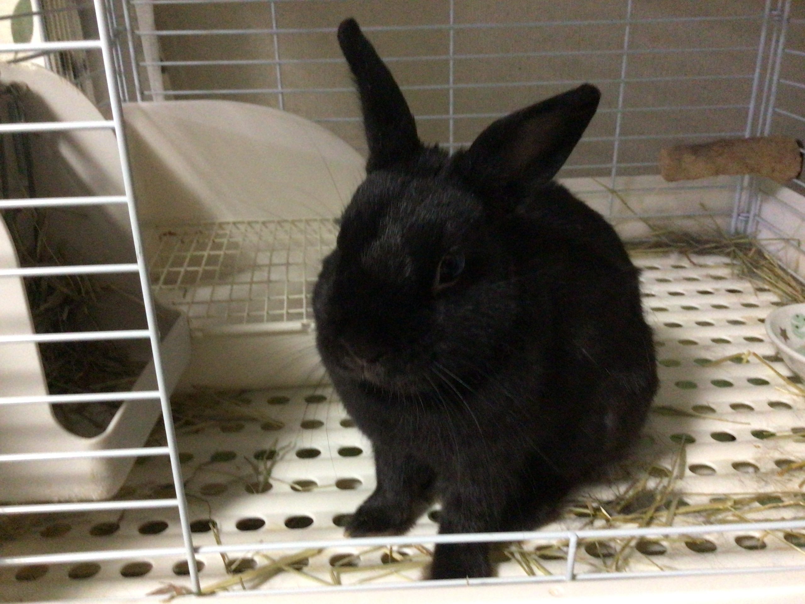 くうちゃんってよんであげて(^ω^)
