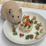大福（だいふく）しか勝たん！