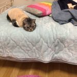 寒くなってきましたね！