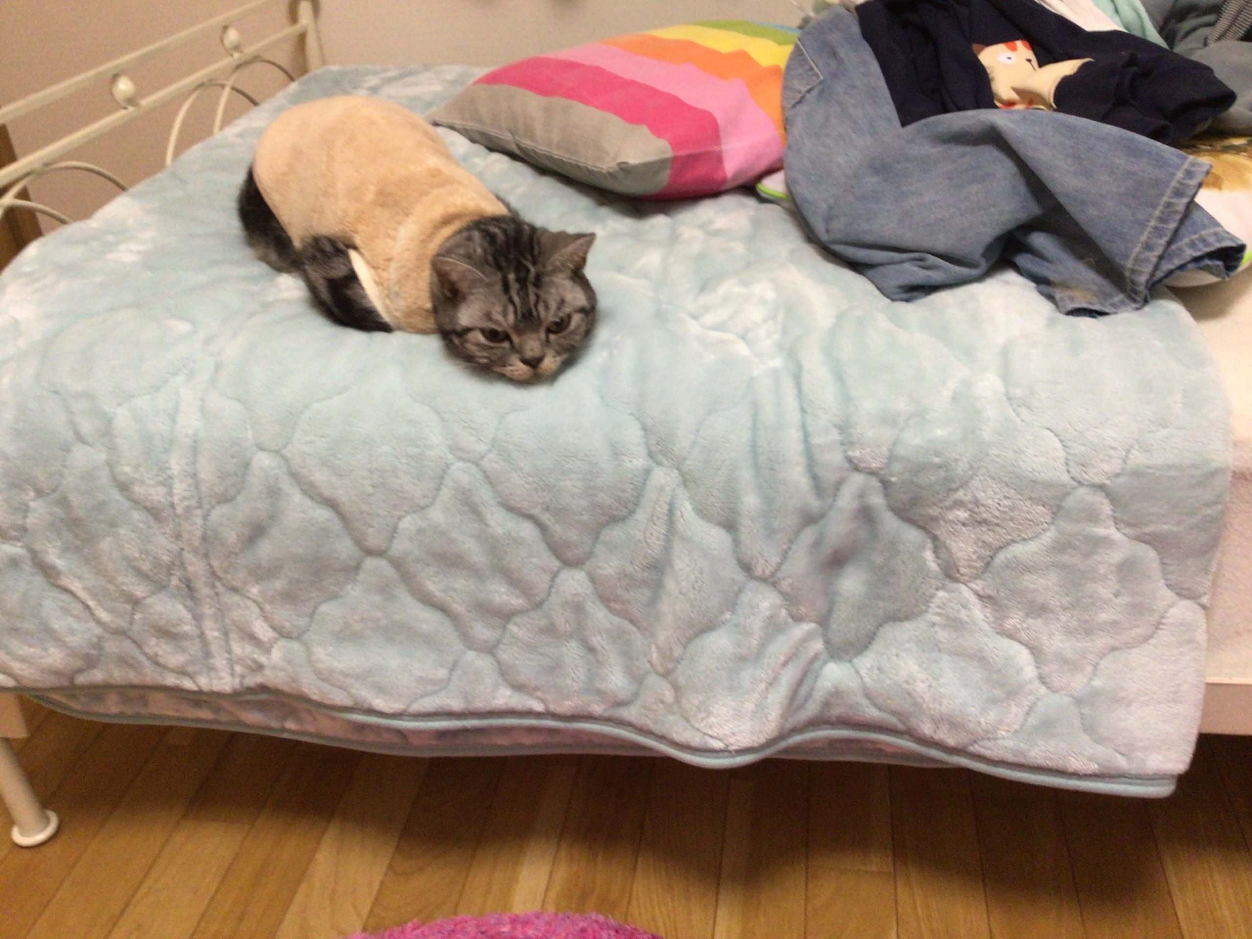 寒くなってきましたね!