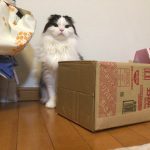 『すず』と言います！
