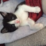 おくつろぎのふゆ様