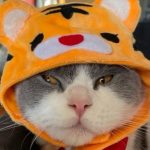 あけましておめでとうございます