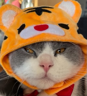 あけましておめでとうございます