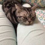 お股でゆーっくり！