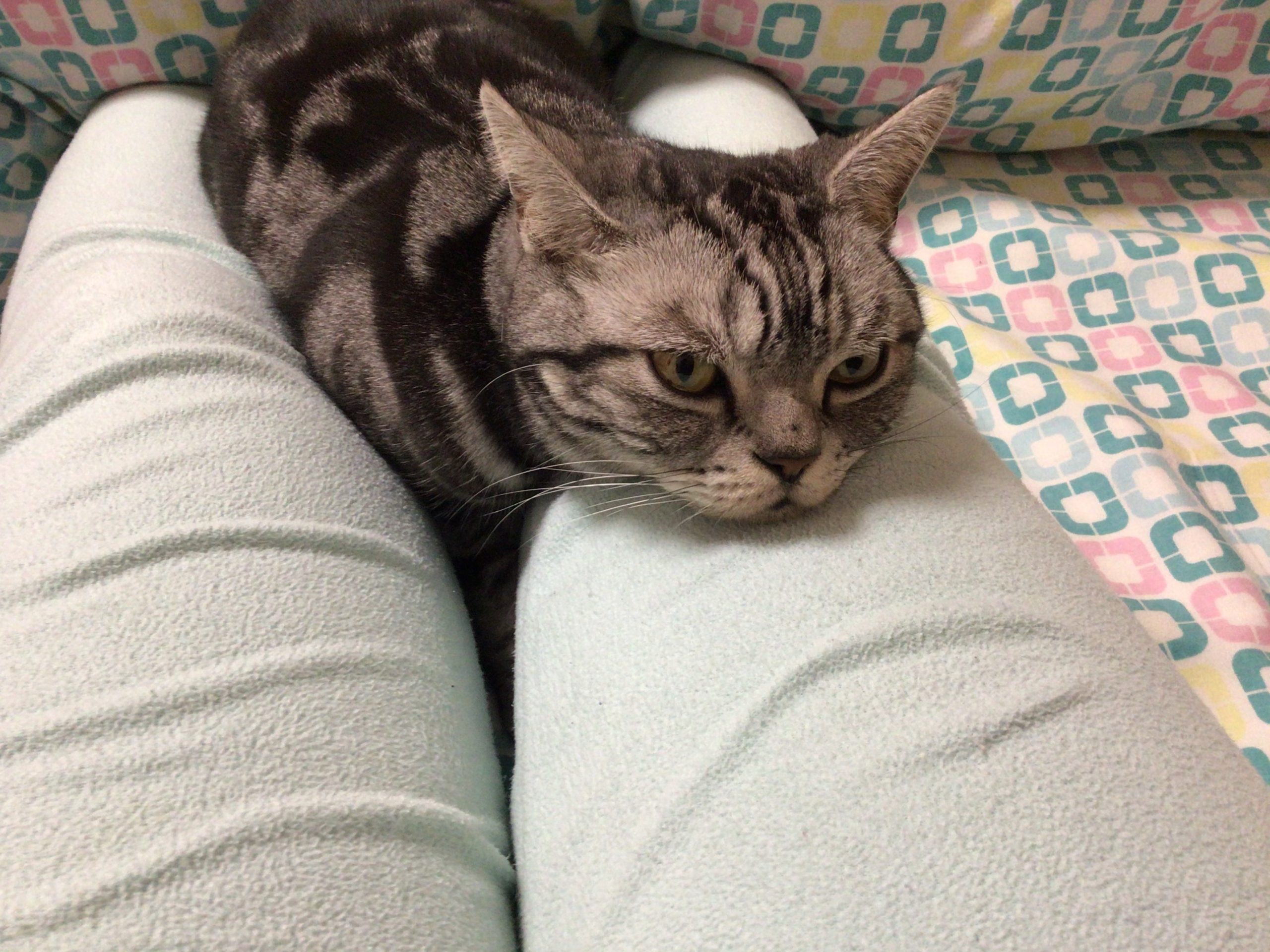 お股でゆーっくり!