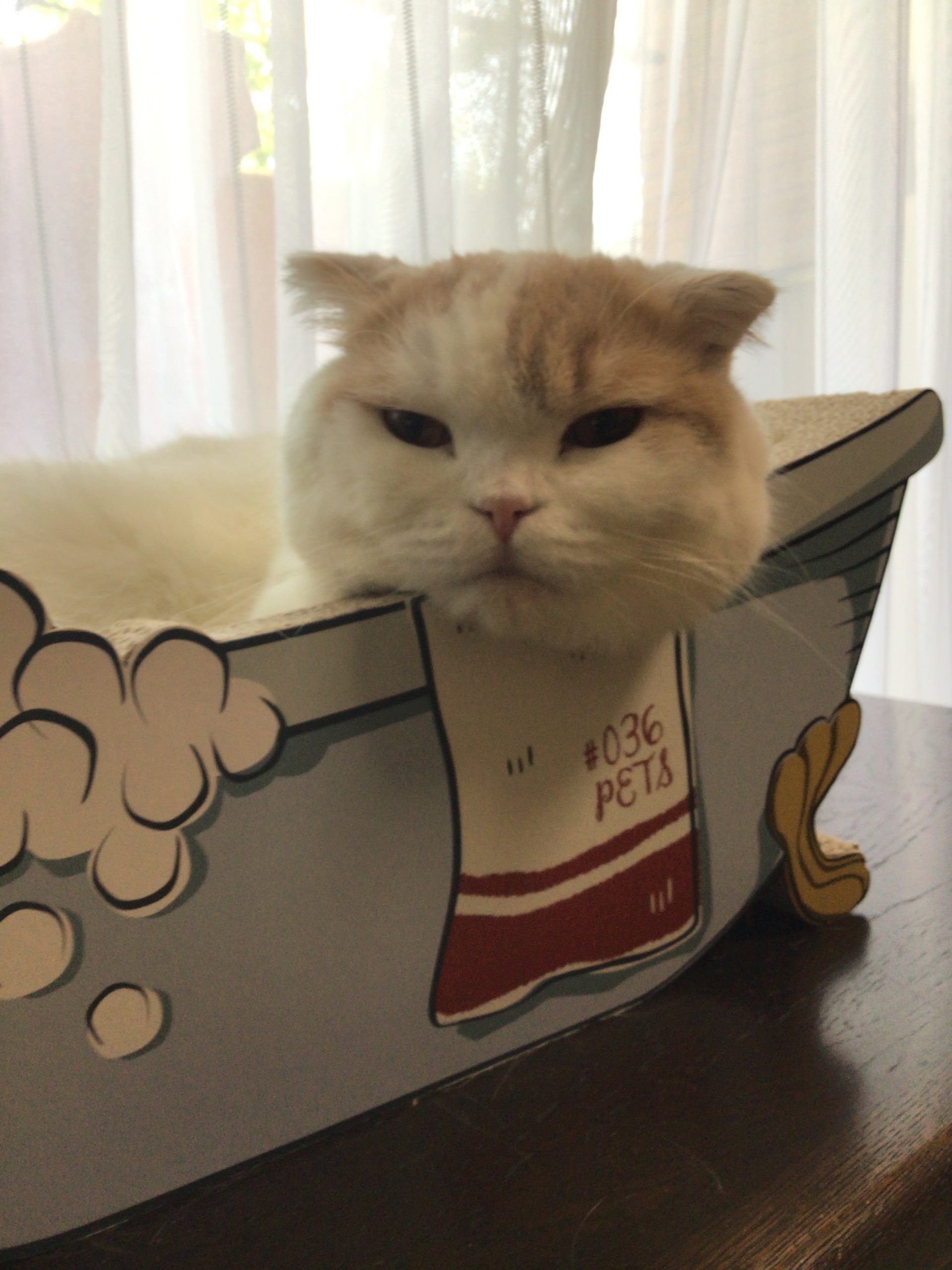 お風呂