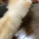 のんちゃん、お菓子しか勝たん！