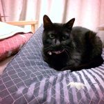 シニアには見えない！漆黒の美人。