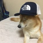 ポテチ