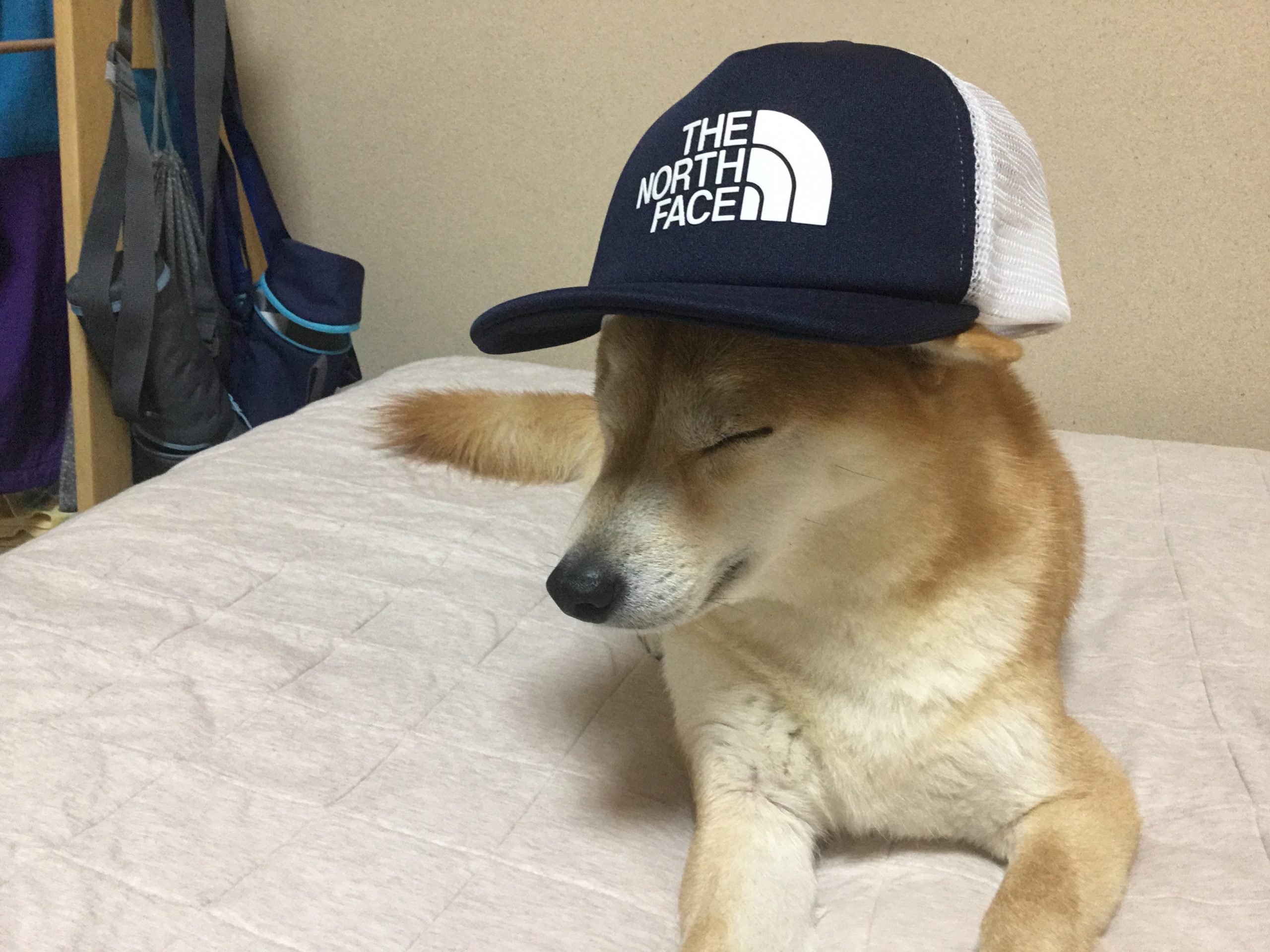 ポテチ