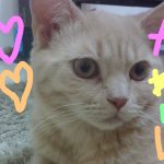 なつきちゃん