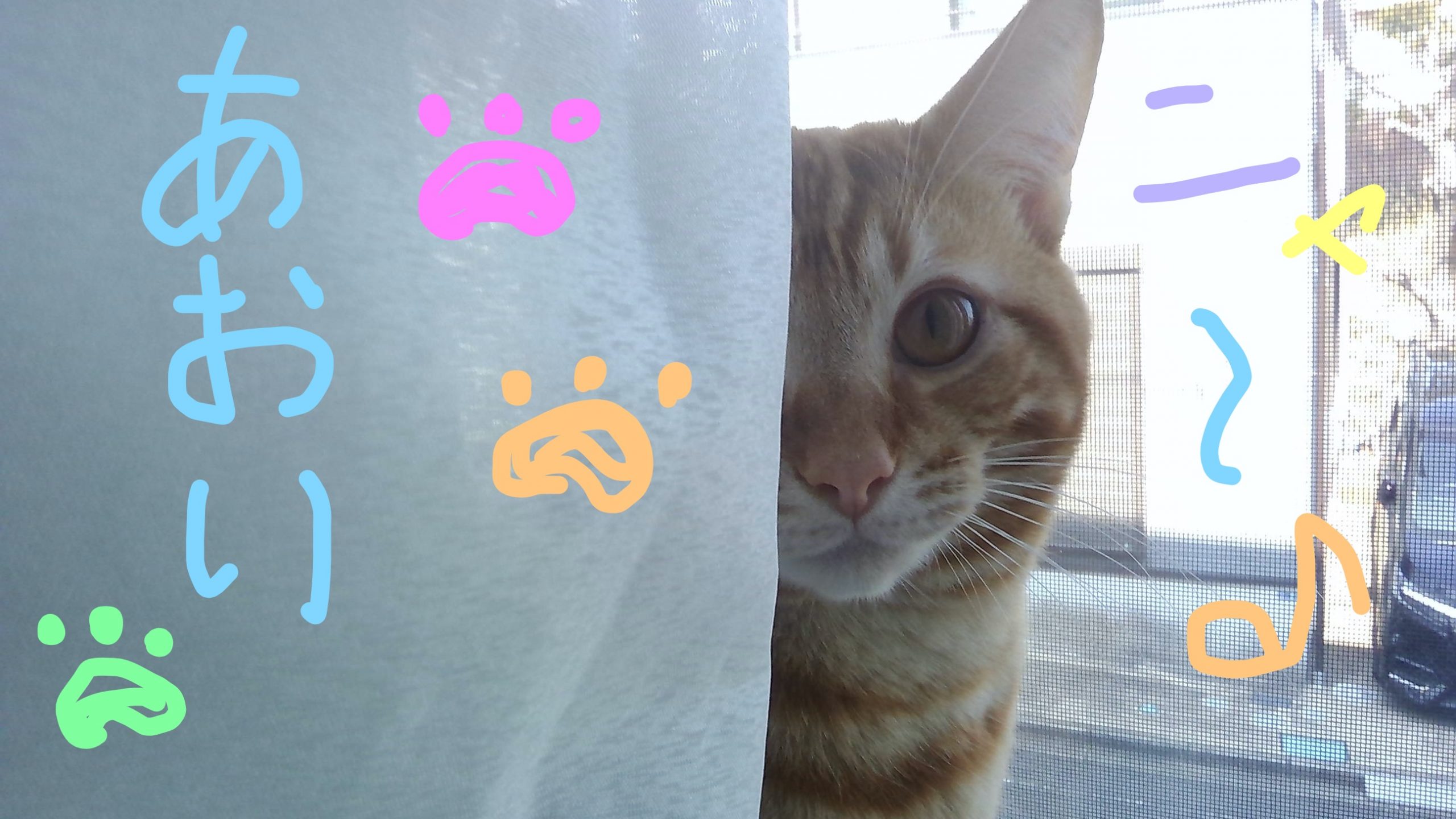 あおい