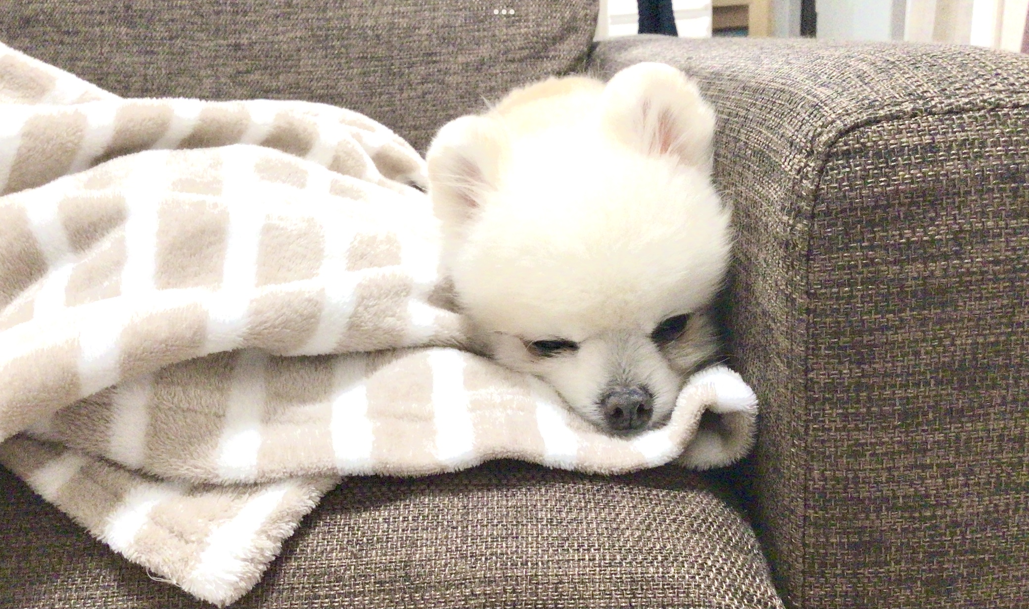 まうる