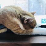 変なかっこう