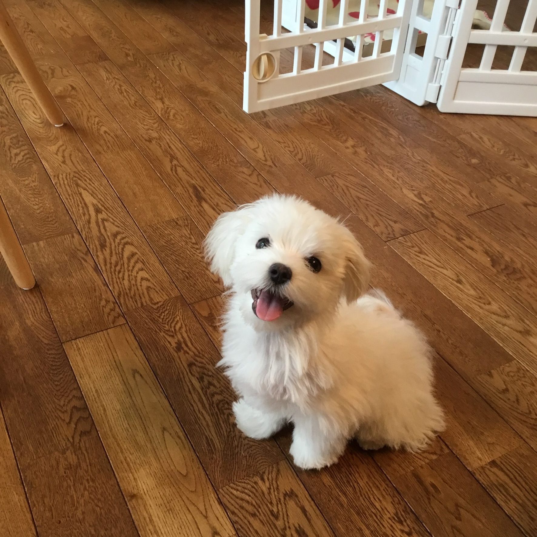 かわいいっ!