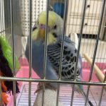 ちっちゃくて、かわいい！