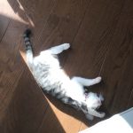 メイちゃん！