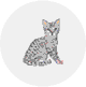 エジプシャンマウ