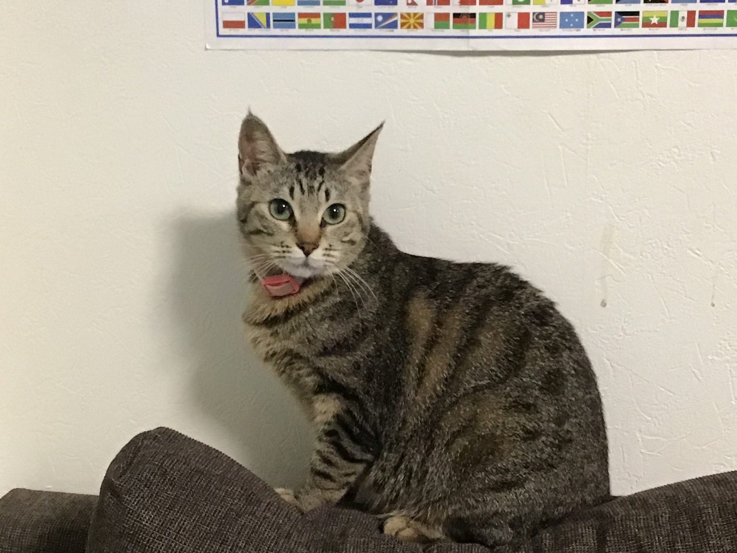 ビビ