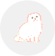 ペルシャ