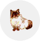 ペルシャ（ヒマラヤン）