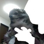 こんにゃく｡