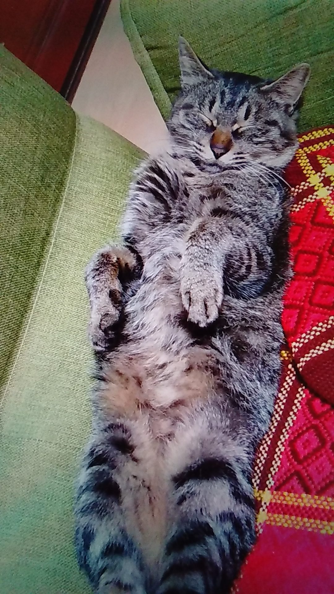 ククちゃん