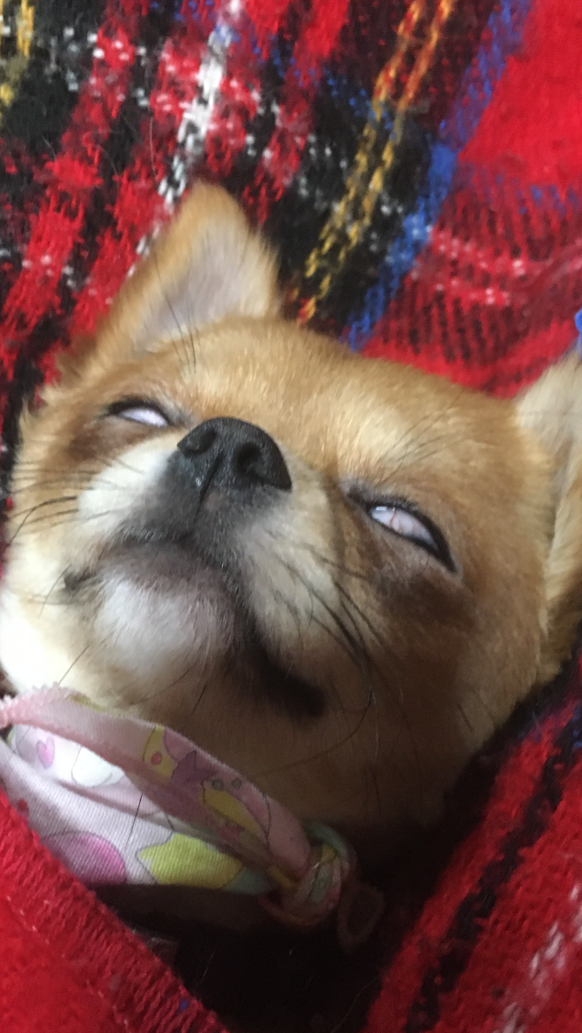 白目!