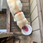 やっちまった