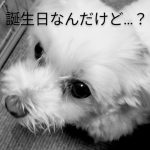うちの癒やしが係
